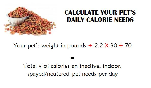 Pet Calorie Calc