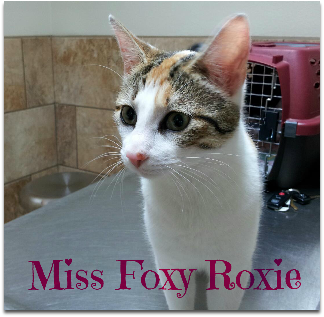 Miss Roxie